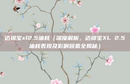 迈锐宝xl2.5油耗（深度解析，迈锐宝XL 2.5油耗表现及影响因素全揭秘）