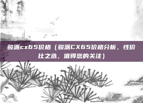 骏派cx65价格（骏派CX65价格分析，性价比之选，值得您的关注）
