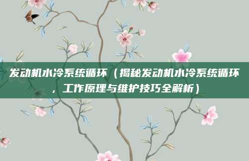 发动机水冷系统循环（揭秘发动机水冷系统循环，工作原理与维护技巧全解析）
