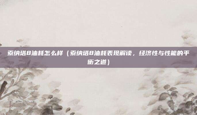 索纳塔8油耗怎么样（索纳塔8油耗表现解读，经济性与性能的平衡之道）