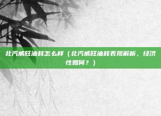 北汽威旺油耗怎么样（北汽威旺油耗表现解析，经济性如何？）