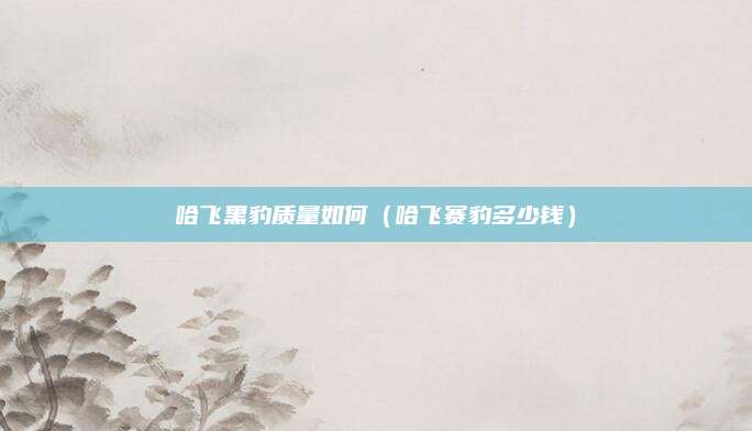 哈飞黑豹质量如何(哈飞赛豹多少钱)