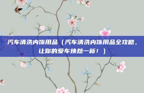 汽车清洗内饰用品（汽车清洗内饰用品全攻略，让你的爱车焕然一新！）