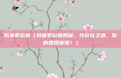 风度表价格（风度表价格揭秘，性价比之选，您的理想座驾！）