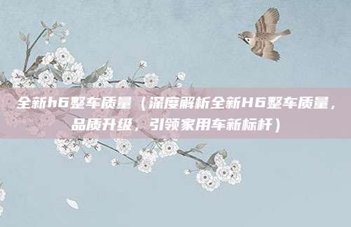 全新h6整车质量（深度解析全新H6整车质量，品质升级，引领家用车新标杆）