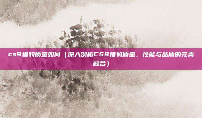 cs9猎豹质量如何（深入剖析CS9猎豹质量，性能与品质的完美融合）