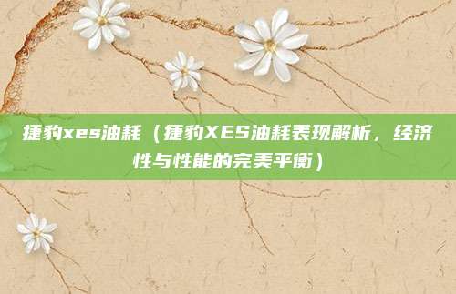 捷豹xes油耗（捷豹XES油耗表现解析，经济性与性能的完美平衡）