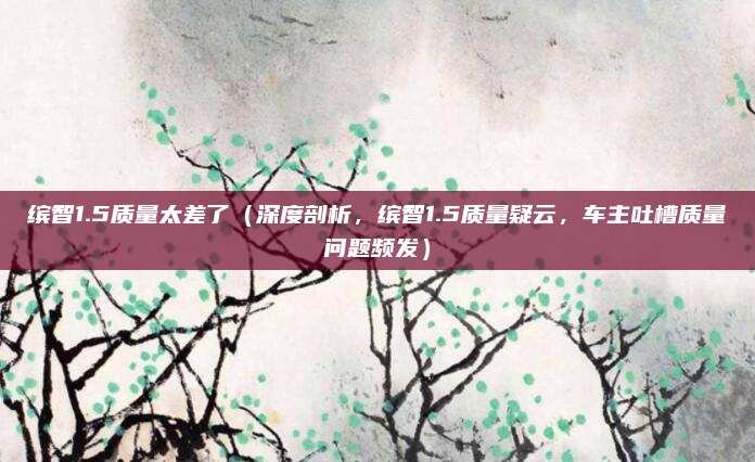 缤智1.5质量太差了（深度剖析，缤智1.5质量疑云，车主吐槽质量问题频发）