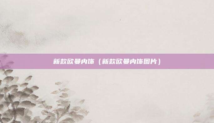 新款欧曼内饰（新款欧曼内饰图片）