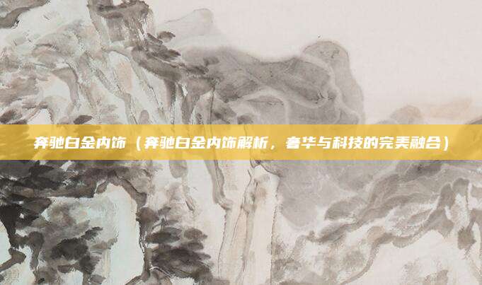 奔驰白金内饰（奔驰白金内饰解析，奢华与科技的完美融合）