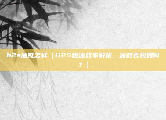 h2s油耗怎样（H2S燃油效率解析，油耗表现如何？）
