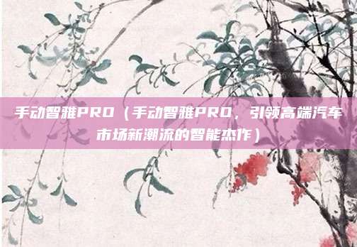 手动智雅PRO（手动智雅PRO，引领高端汽车市场新潮流的智能杰作）