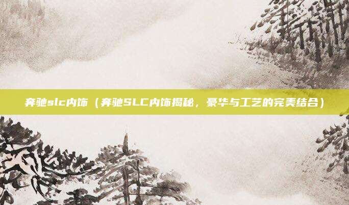 奔驰slc内饰（奔驰SLC内饰揭秘，豪华与工艺的完美结合）
