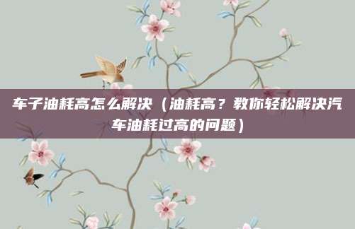 车子油耗高怎么解决（油耗高？教你轻松解决汽车油耗过高的问题）
