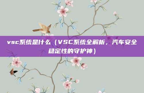 vsc系统是什么（VSC系统全解析，汽车安全稳定性的守护神）