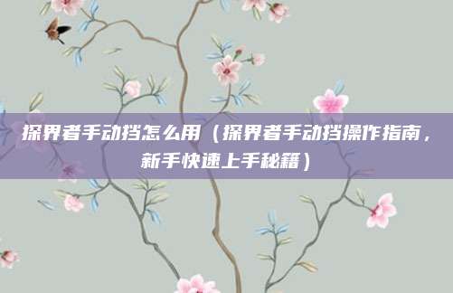 探界者手动挡怎么用（探界者手动挡操作指南，新手快速上手秘籍）