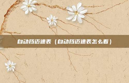自动挡迈速表(自动挡迈速表怎么看)