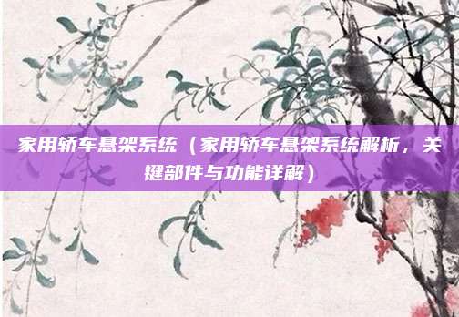 家用轿车悬架系统（家用轿车悬架系统解析，关键部件与功能详解）