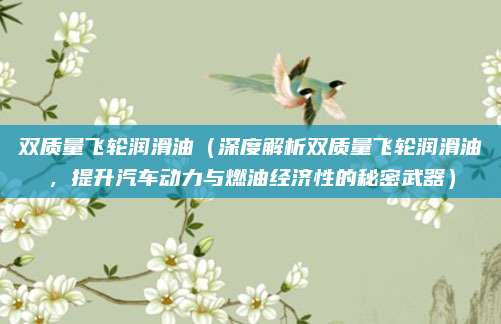 双质量飞轮润滑油（深度解析双质量飞轮润滑油，提升汽车动力与燃油经济性的秘密武器）