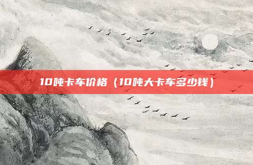10吨卡车价格(10吨大卡车多少钱)