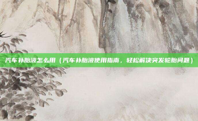 汽车补胎液怎么用（汽车补胎液使用指南，轻松解决突发轮胎问题）