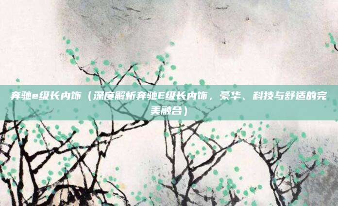 奔驰e级长内饰（深度解析奔驰E级长内饰，豪华、科技与舒适的完美融合）