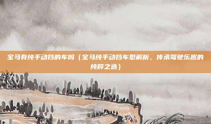 宝马有纯手动挡的车吗（宝马纯手动挡车型解析，传承驾驶乐趣的纯粹之选）