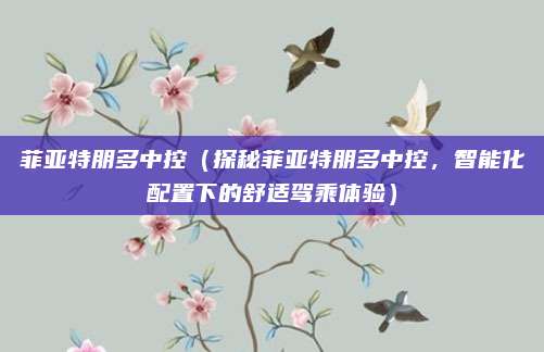 菲亚特朋多中控（探秘菲亚特朋多中控，智能化配置下的舒适驾乘体验）