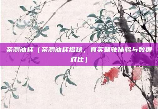 亲测油耗（亲测油耗揭秘，真实驾驶体验与数据对比）