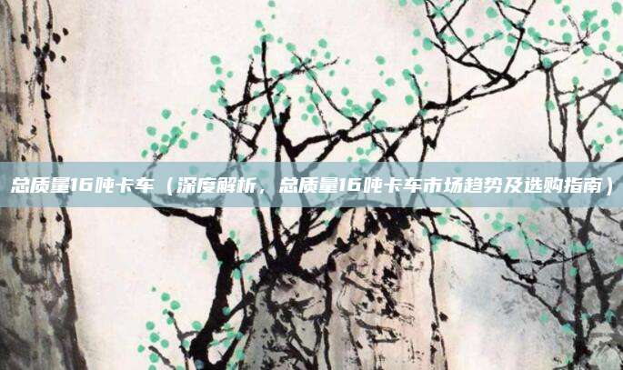 总质量16吨卡车（深度解析，总质量16吨卡车市场趋势及选购指南）