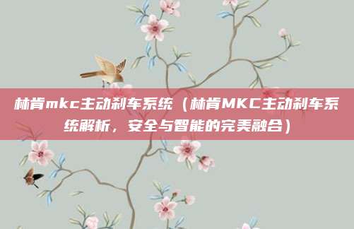 林肯mkc主动刹车系统（林肯MKC主动刹车系统解析，安全与智能的完美融合）