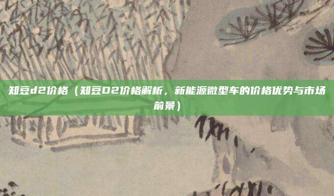 知豆d2价格（知豆D2价格解析，新能源微型车的价格优势与市场前景）