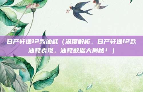 日产轩逸12款油耗（深度解析，日产轩逸12款油耗表现，油耗数据大揭秘！）