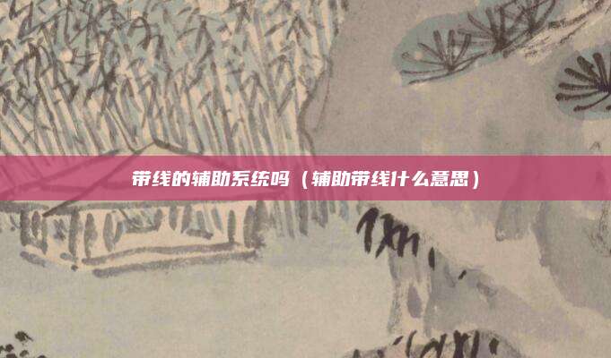 带线的辅助系统吗(辅助带线什么意思)