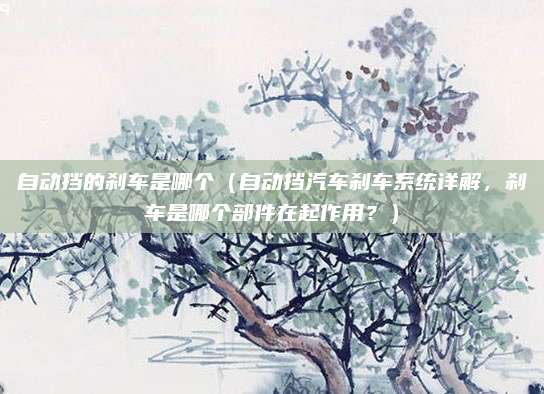 自动挡的刹车是哪个（自动挡汽车刹车系统详解，刹车是哪个部件在起作用？）