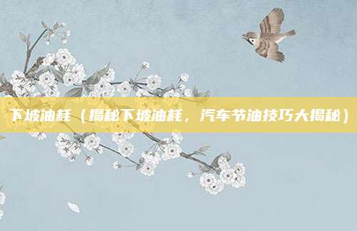下坡油耗（揭秘下坡油耗，汽车节油技巧大揭秘）
