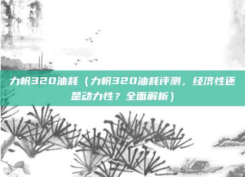 力帆320油耗（力帆320油耗评测，经济性还是动力性？全面解析）