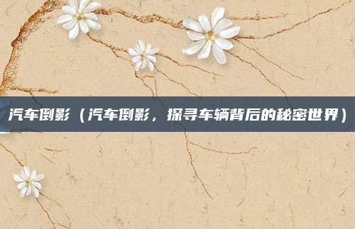 汽车倒影（汽车倒影，探寻车辆背后的秘密世界）
