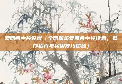 爱丽舍中控设置（全面解析爱丽舍中控设置，操作指南与实用技巧揭秘）
