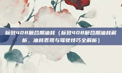 标致408磨合期油耗（标致408磨合期油耗解析，油耗表现与驾驶技巧全解析）