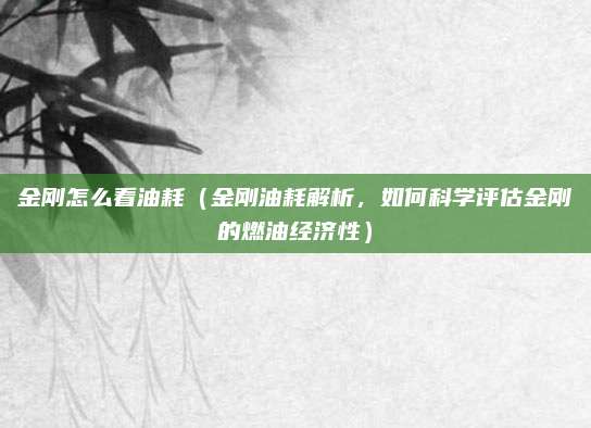 金刚怎么看油耗（金刚油耗解析，如何科学评估金刚的燃油经济性）