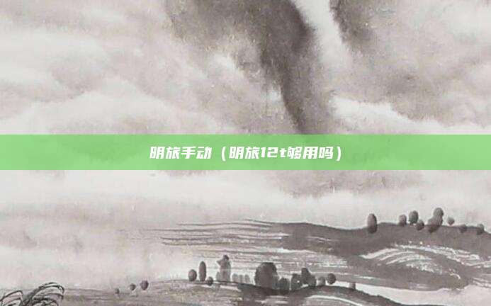 明旅手动(明旅12t够用吗)