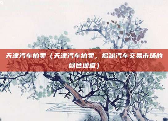 天津汽车拍卖（天津汽车拍卖，揭秘汽车交易市场的绿色通道）