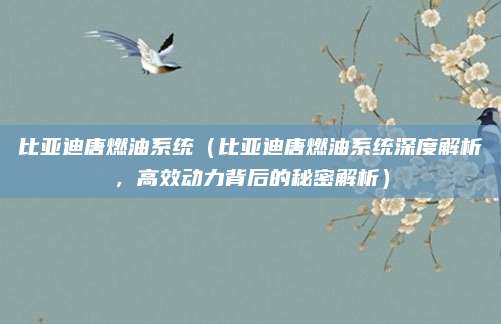 比亚迪唐燃油系统（比亚迪唐燃油系统深度解析，高效动力背后的秘密解析）