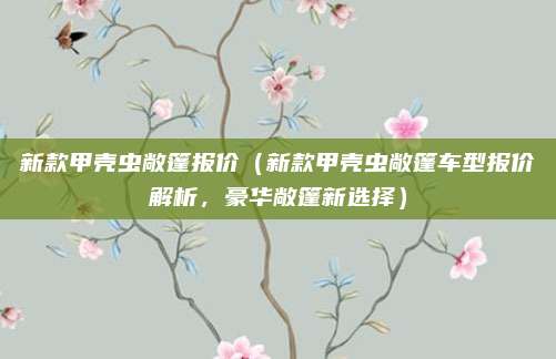 新款甲壳虫敞篷报价（新款甲壳虫敞篷车型报价解析，豪华敞篷新选择）