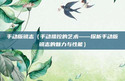 手动版锐志（手动操控的艺术——探析手动版锐志的魅力与性能）