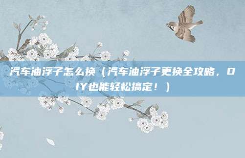 汽车油浮子怎么换（汽车油浮子更换全攻略，DIY也能轻松搞定！）