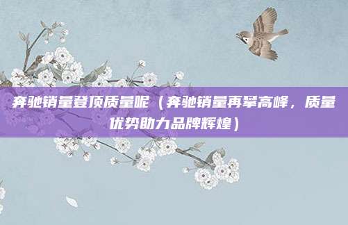 奔驰销量登顶质量呢（奔驰销量再攀高峰，质量优势助力品牌辉煌）