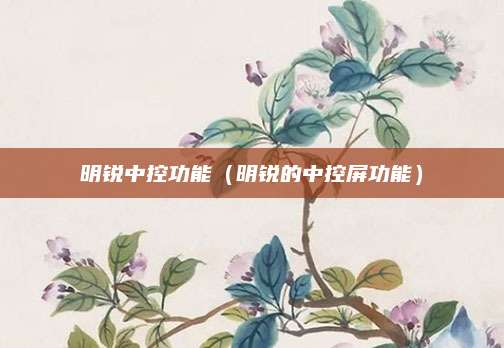 明锐中控功能(明锐的中控屏功能)
