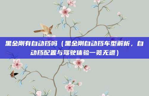 黑金刚有自动挡吗（黑金刚自动挡车型解析，自动挡配置与驾驶体验一览无遗）